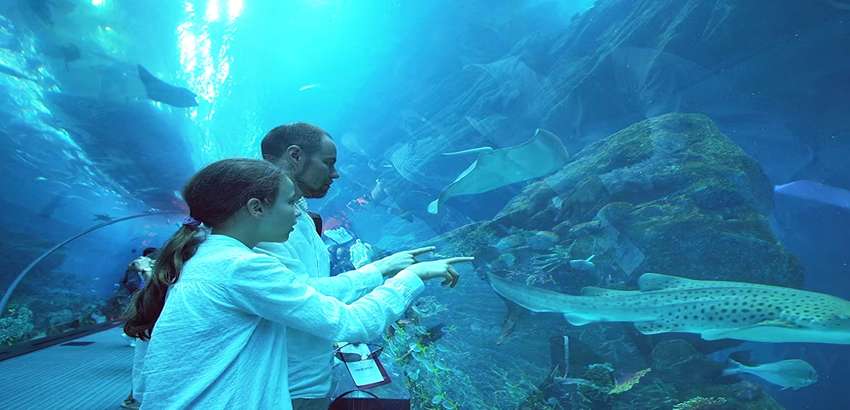 Dubai Aquarium