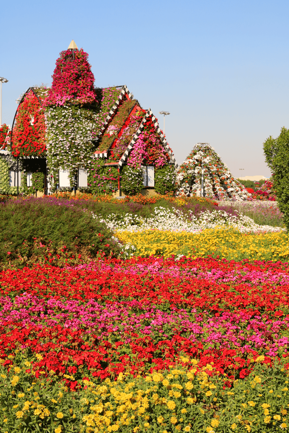 Dubai Miracle Garden