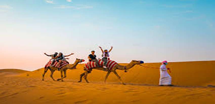 Camel Rides in Dubai